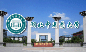 湖北中医药大学成人高等教育2023年招生简章
